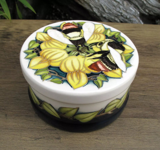 Moorcroft RSPB SHRILL CARDER BEE Lidded Box 125/4 Number 28. Retail Price £420