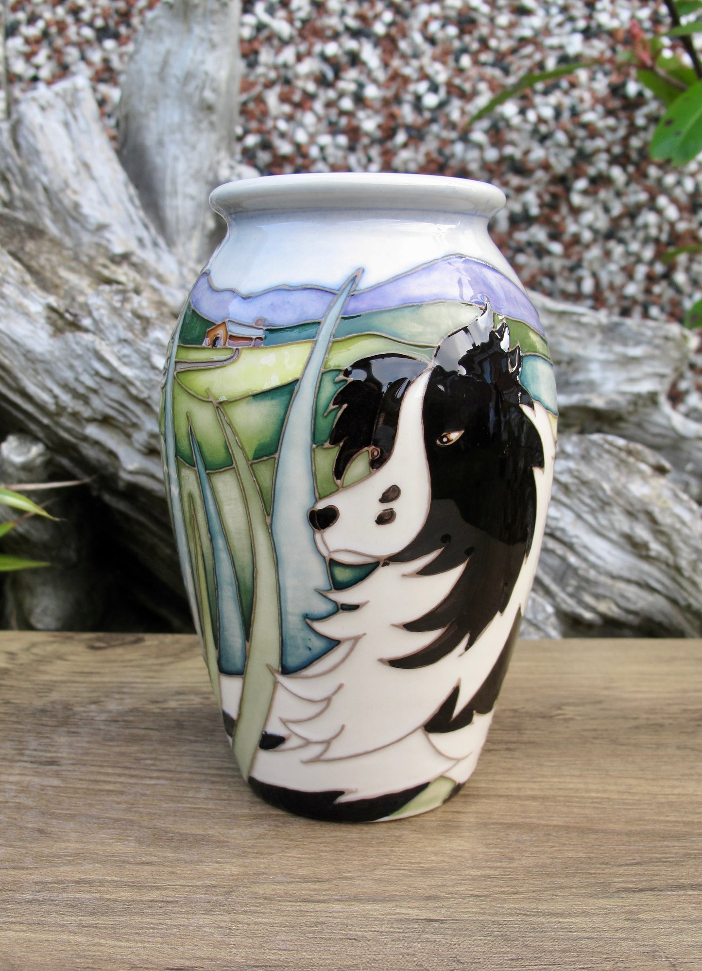 Moorcroft THE WATCHER Vase 393/5 Number 44. Retail Price £360 Border Collie Dog